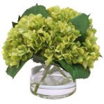 Green Hydrangea send a bouquet of flowers in Bangalore | hydrangea bouquet