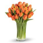 Orange Tulip | Tulips Flowers Delivery | Order Now at June flowers.com