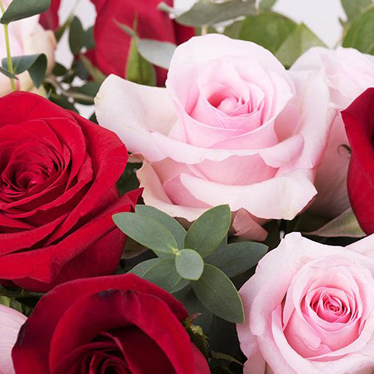 Buy Red & Pink Roses | Mix Rose Bouquet | Online Flower Delivery ...