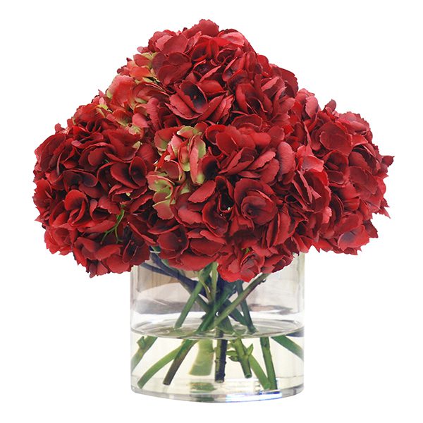 Image of Red romance hydrangea flowers in vase