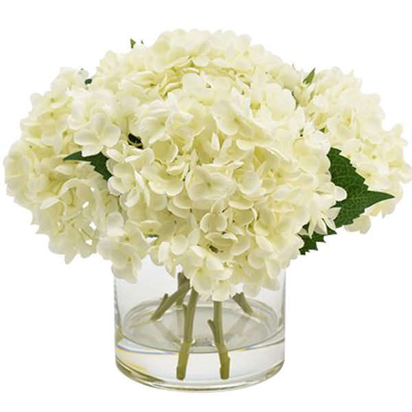 White Hydrangea in Cylinder Vase | Flowers in Vase- JuneFlowers