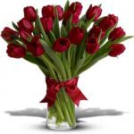 Red Tulips| Online Tulips Flowers in Bangalore | Juneflowers.com