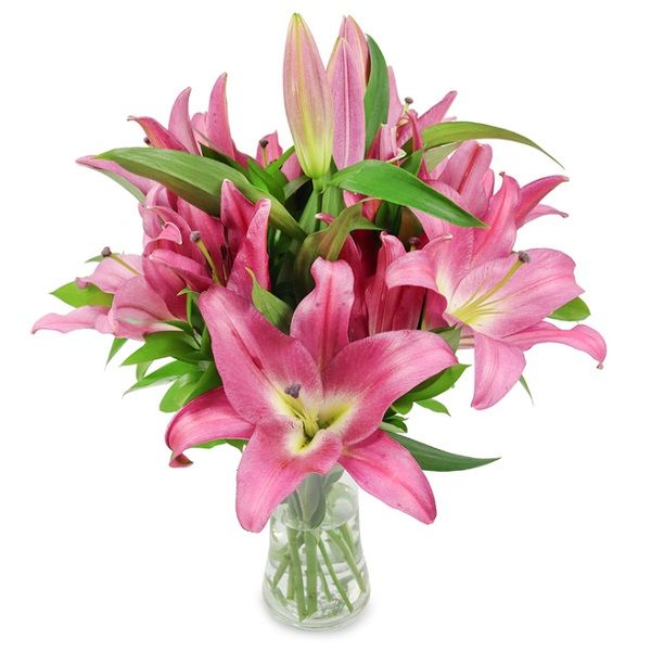Luxury Pink Lilies