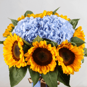 Cool Moment - Order Sunflower & Hydrangea | Juneflowers.com